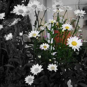 Meet your Posher, Tanya